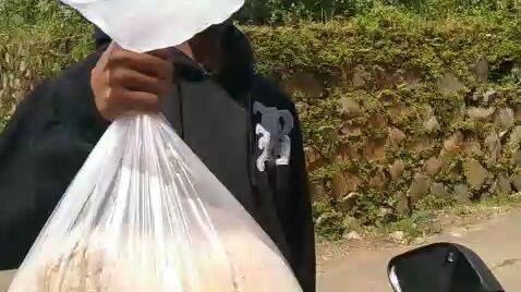 epul nyari pakan🤭