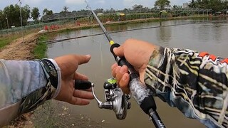 1.600.000đ Bộ combo lure máy đứng cần Daiwa Crossfire X + máy Daiwa Crossfire và phụ kiện