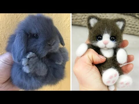 AWW SO CUTE! Cutest baby animals Videos Compilation Cute moment of the Animals - Cutest Animals #65 - Bilibili AWW SO CUTE! Cutest baby animals Videos Compilation Cute moment of the Animals - Cutest Animals #65 - Bilibili