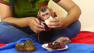 Little Baby Maki Request Mom Eating Cambodia Cake/Baby  Monkey Like Eating Dessert