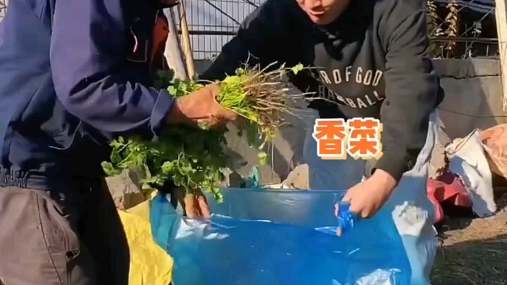 فوائد الزواج من قريب، خمنوا كم وفرت هذه الدائرة من المال #توثيق_الحياة_الحقيقية #يوميات_الزوجين #مضح