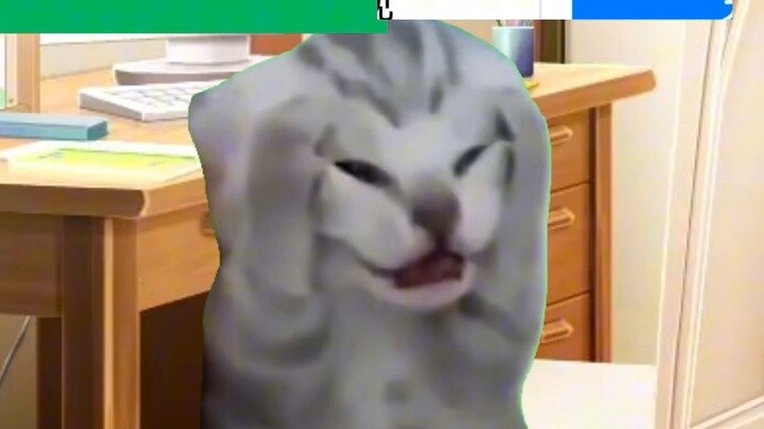 【Cat meme】Nunuma's daily life 2 → Various occasions