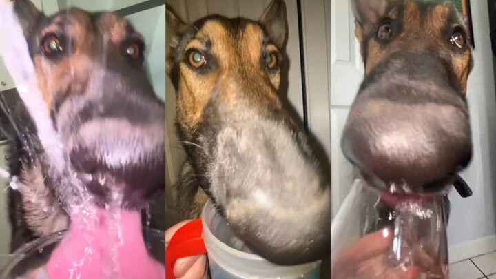 Teman-teman, jangan lupa minum air.