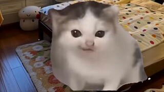 เมื่อเด็กชายต้องตัดสินใจเลือก...