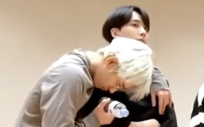 On Cement Cat and the Members’ Different Ways of Interacting