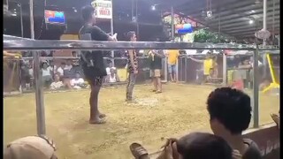 white kelso first fight no touch 1xwinner