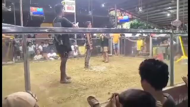 white kelso first fight no touch 1xwinner