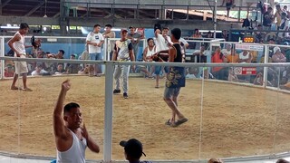 Sa wala 7/10