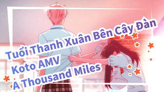 [Tuổi Thanh Xuân Bên Cây Đàn Koto AMV] A Thousand Miles