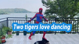 "Hai chú hổ thích nhảy múa" Phiên bản Spider Man