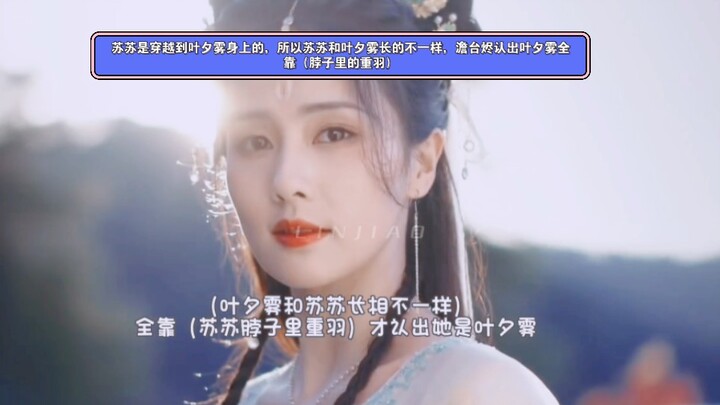 ซูซูได้ทะลุมิติมาสิงอยู่ในร่างเย่ซีวู ดังนั้นทั้งสองจึงมีหน้าตาไม่เหมือนกัน ตันไถจิ้นจำเย่ซีวูออกได้