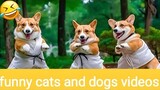 funny animal videos 2023 part-1 funny cats and dogs video 😊😄😄#funnyanimals