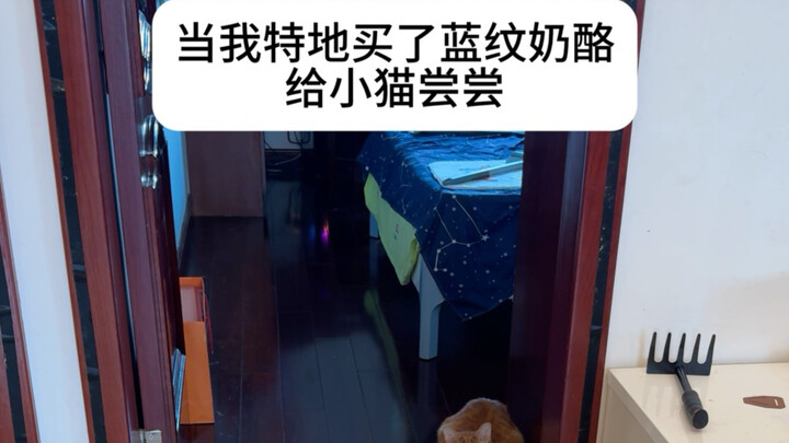 Xiao Mao, barang ini benar‑benar sulit didapat lho