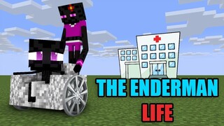 Monster School : Enderman Baby Life - minecraft animation