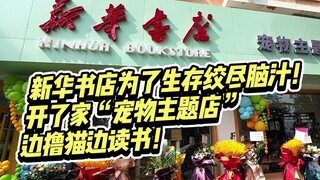 Nhà sách Tân Hoa xoay sở đủ đường để tồn tại! Mở hẳn một cửa hàng "chủ đề thú cưng", vừa vuốt mèo vừ