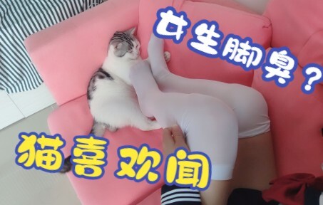 ผู้หญิงใส่ถุงน่องแล้วเท้าเหม็นเหรอ? ให้แมวที่บ้านฉันดมหน่อยสิ