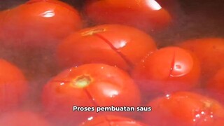Proses Pembuatan saus tomat