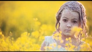 ดูแล้วไม่กล้าทำนาเลย