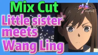 [The daily life of the fairy king]  Mix cut | Little sister meets Wang Ling