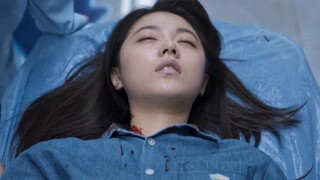 假如李诗情才是王兴德和陶映红死去的女儿