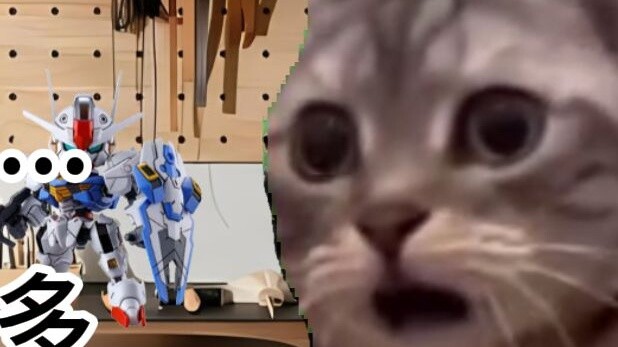 [Gundam OEM Daily 3] Older than me (Antique Edition) | Cat meme