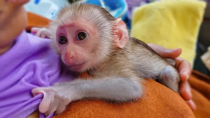Wow, So adorable tiny Luca open big eyes want to thank  Mom for feeding milk & take care