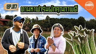 หน่อไม้ฝรั่งพี่วันดี - สิรินทร์ฟาร์ม EP.67