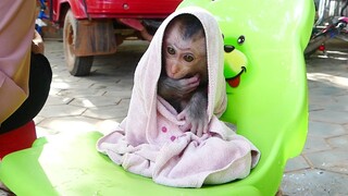 Fresh feeling in the morning!! Today Adorable Tiny baby Maki Enjoy Take a shower Before breakfast