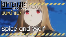 「แนะนำอนิเมะ」Spice and Wolf พ่อค้าหนุ่มกับเทพหมาป่าสาว