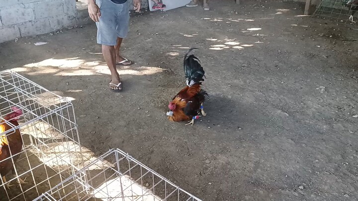 Practice makes perfect