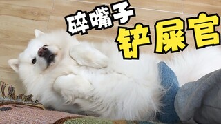 When three cats and three dogs encounter a nagging owner, how can they live?