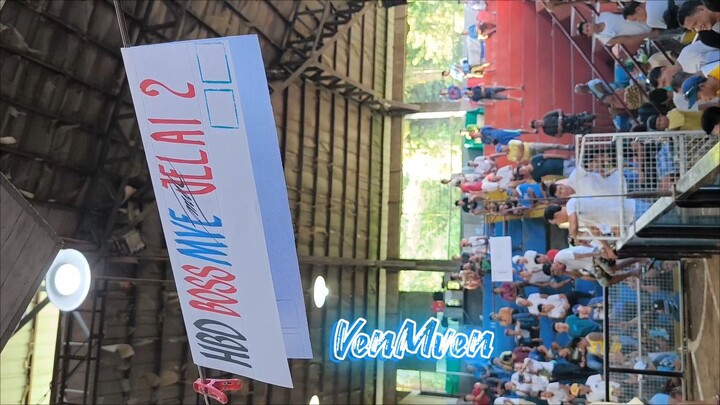 03/20/2024 2 hits ulutan Entry name: HBD Boss Mven & Jelai-2 Champion(1-1)Second fight