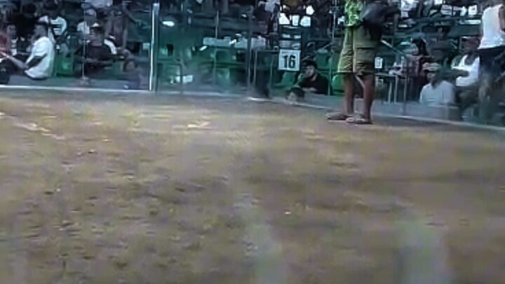 2hits ncc arena| SBR VS BOSTON / Last Fight Win - Champion