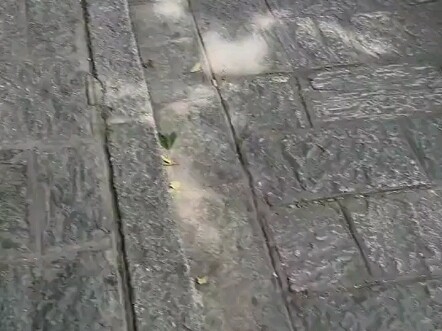 عند بوابة المدينة القديمة في دالي