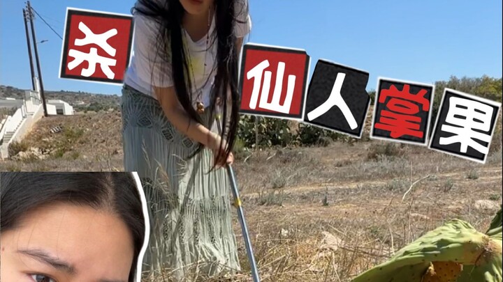 لماذا أصبحت "النزول إلى الأرض" في جنوب أوروبا كلَّ معيني الروحي؟