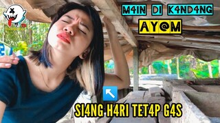 BERKEMBANG BIAK DI KANDANG AY@M