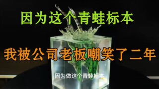 因为这个青蛙标本，我被公司老板嘲笑了二年