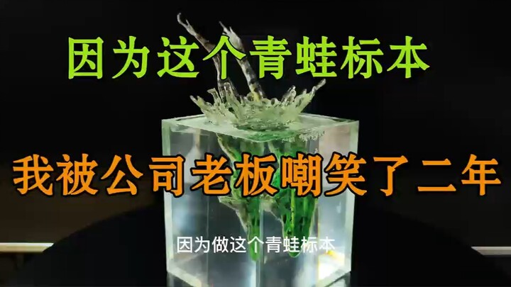 因为这个青蛙标本，我被公司老板嘲笑了二年