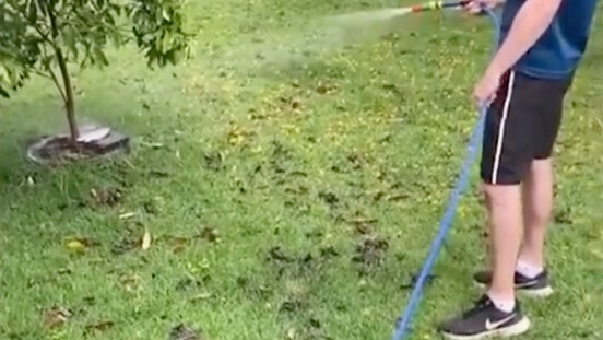 Leave a Pure Reputation in This World