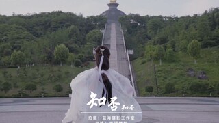 【知否知否】舞蹈MV