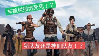 ［和平精英］我的皮卡车给树插！？我到底拥有猪队友还是神仙队友！？「全字幕」