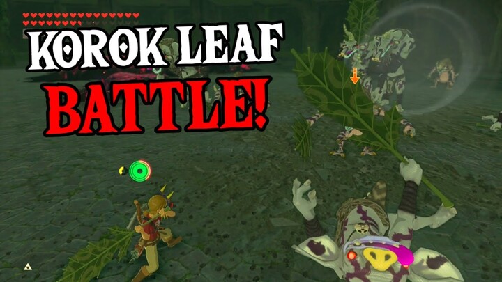 Giving KOROK LEAVES to Monsters! | Zelda: Breath of the Wild