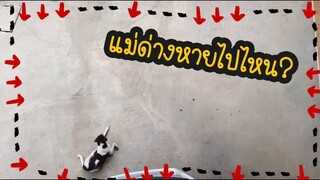 โลกของแสนดี ตอน แม่ด่างหายไปไหน