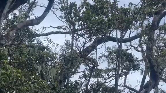 draft lama lupa diupload