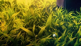 Demon slayer season 3 Final episode