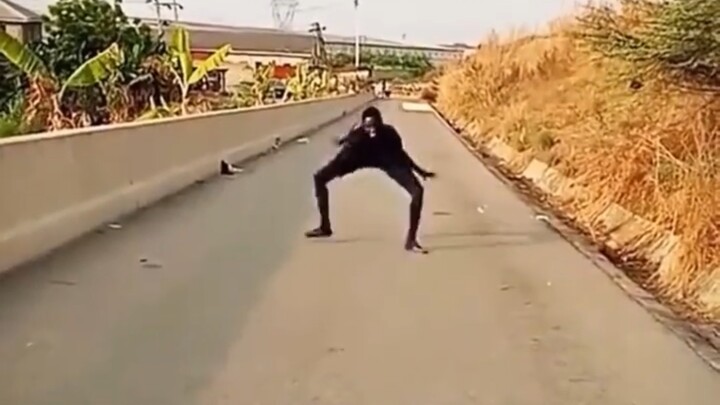 Apakah harus lari jika menemui situasi seperti ini?