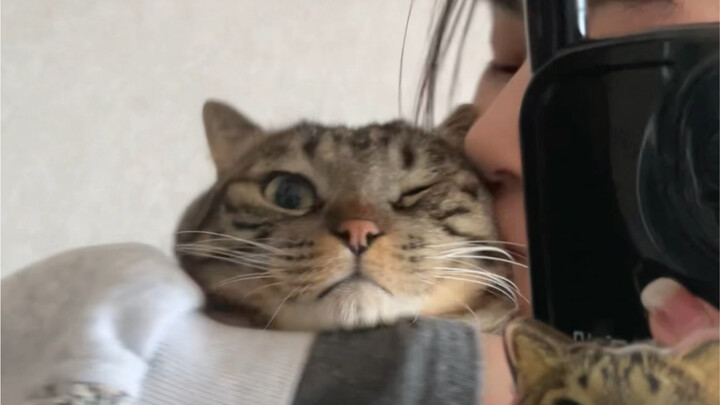 Hình thái ăn được của Chó Quyển Bảo!!! Sơn trân hải vị!!!