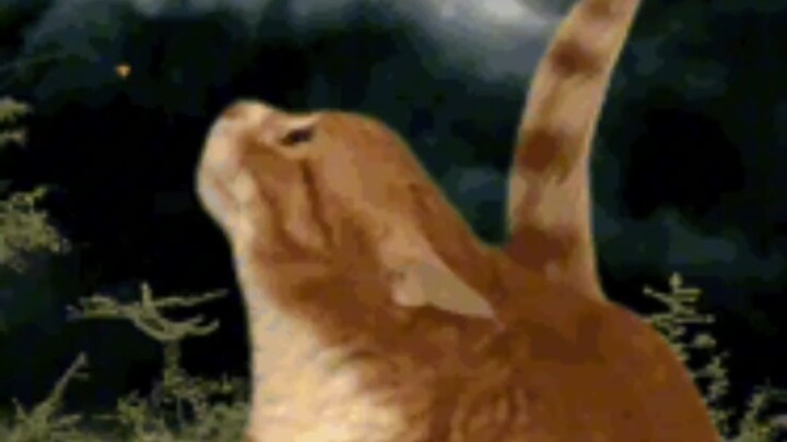 Đánh nước mà vẫn đẹp trai hết nấc