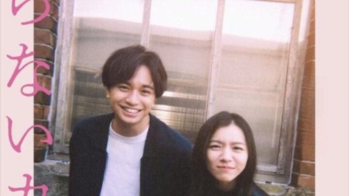 shiranai kanoio รักแรกแปลกหน้า  (2025 พากย์ไทย