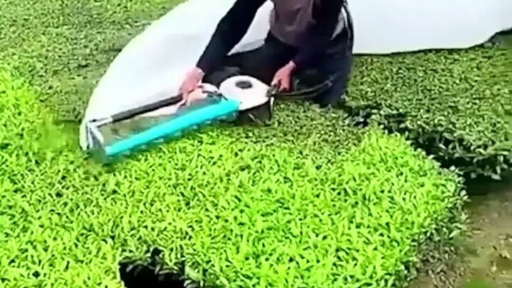 Thao tác cơ giới khiến người xem hài lòng